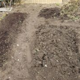 BeetParatVielErde 2026-02-28 15.16.